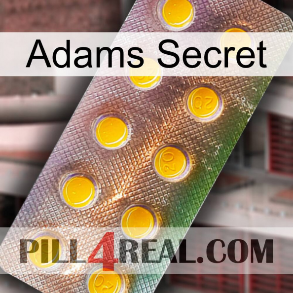 Adams Secret new11.jpg